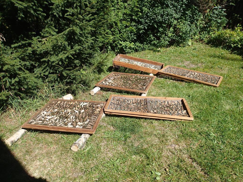 Penzion Pod Mustky Hotel Harrachov Luaran gambar